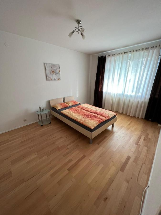 Sehr Gemutliche Wohnung 巴登 外观 照片